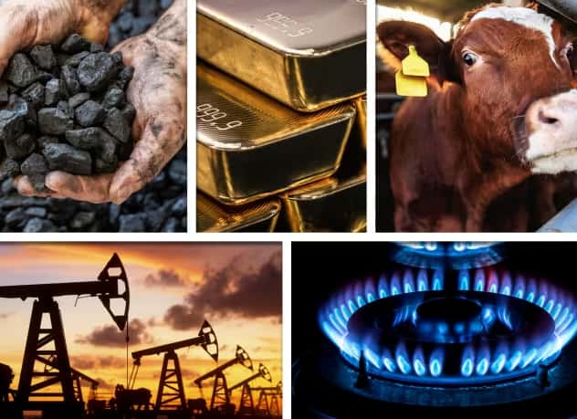 A Comprehensive Overview of Rising Commodities